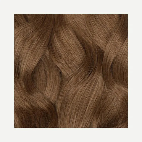Praline Brown #6C
