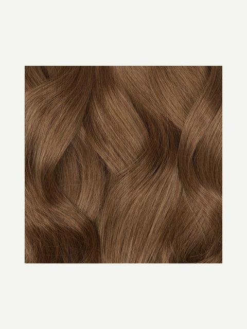 Chestnut Brown_02.jpg